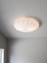 Anna 80 ceiling lamp