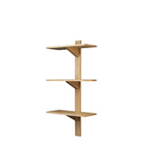 B100 shelf, 50x100, oak