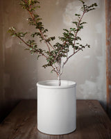 White flower pot with edge