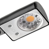 Daphine Cloe LED table lamp