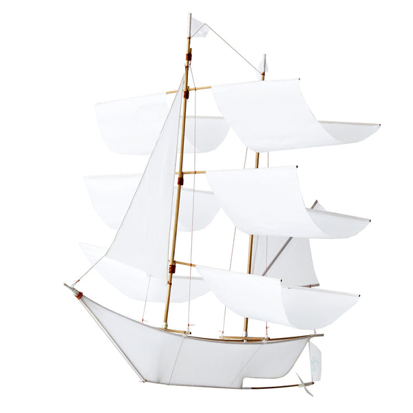 Laevukese tuulelohe / kaunistus